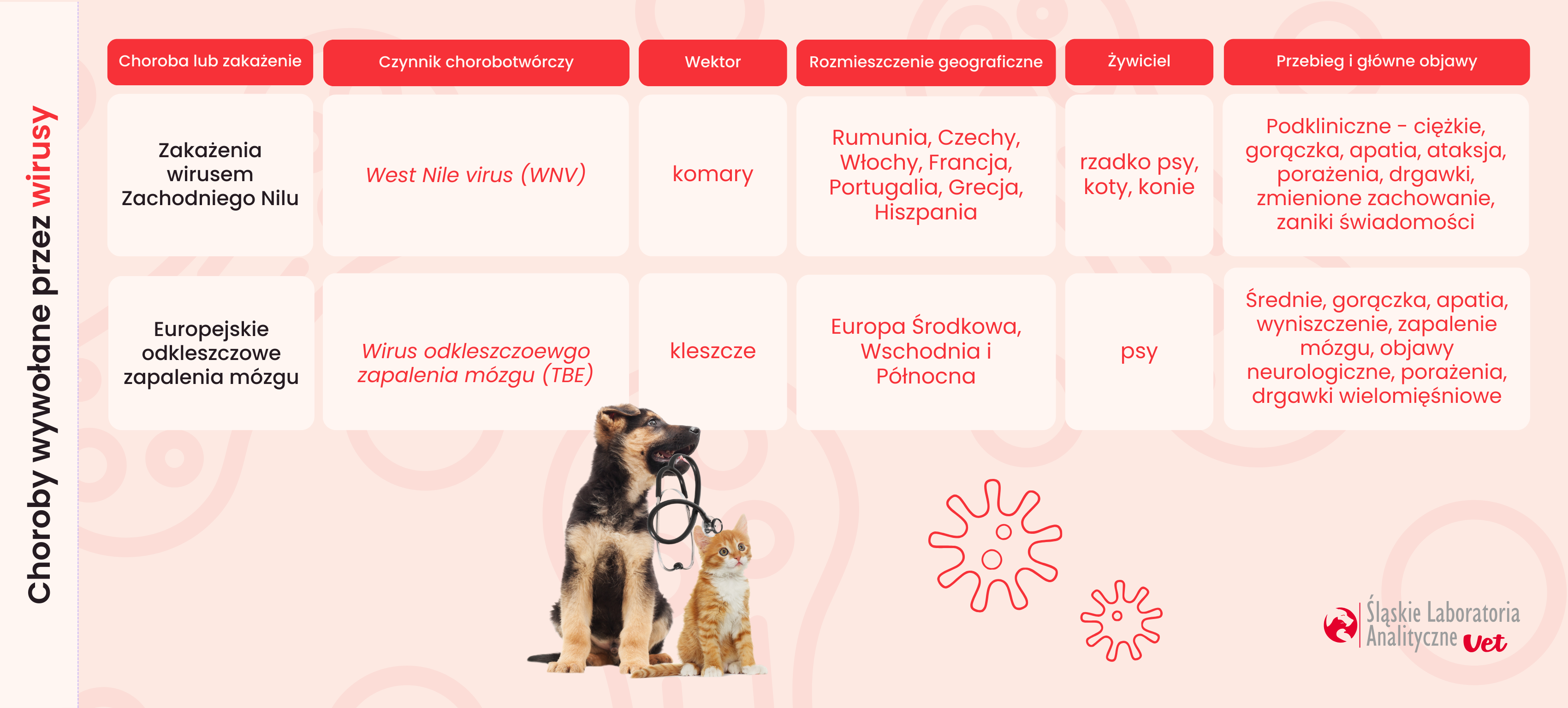 wektory wirusy